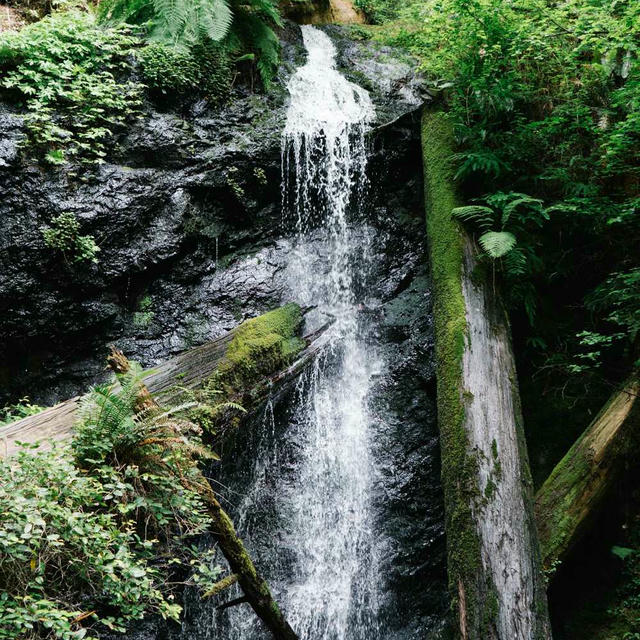 2021/11 Mendocino photo 2