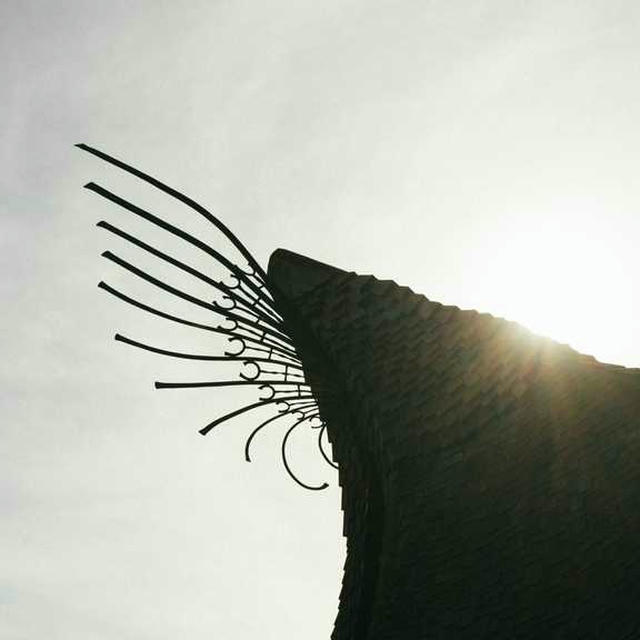 2021/06 Sea Ranch photo 2